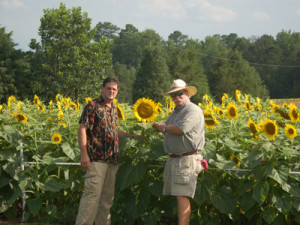 Dove Hunting Fields in SC